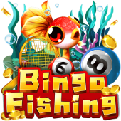 Câu Cá Bingo KJC